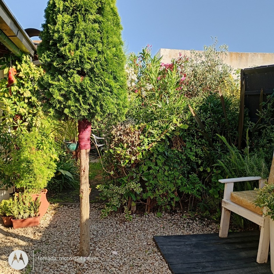 VENTA Casa Ph/ Loft Al Fondo dividido en  3amb. c/quincho/jardin/entrada 2 AUTOS